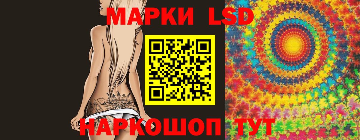 Псилоцибиновые грибы Баксан
